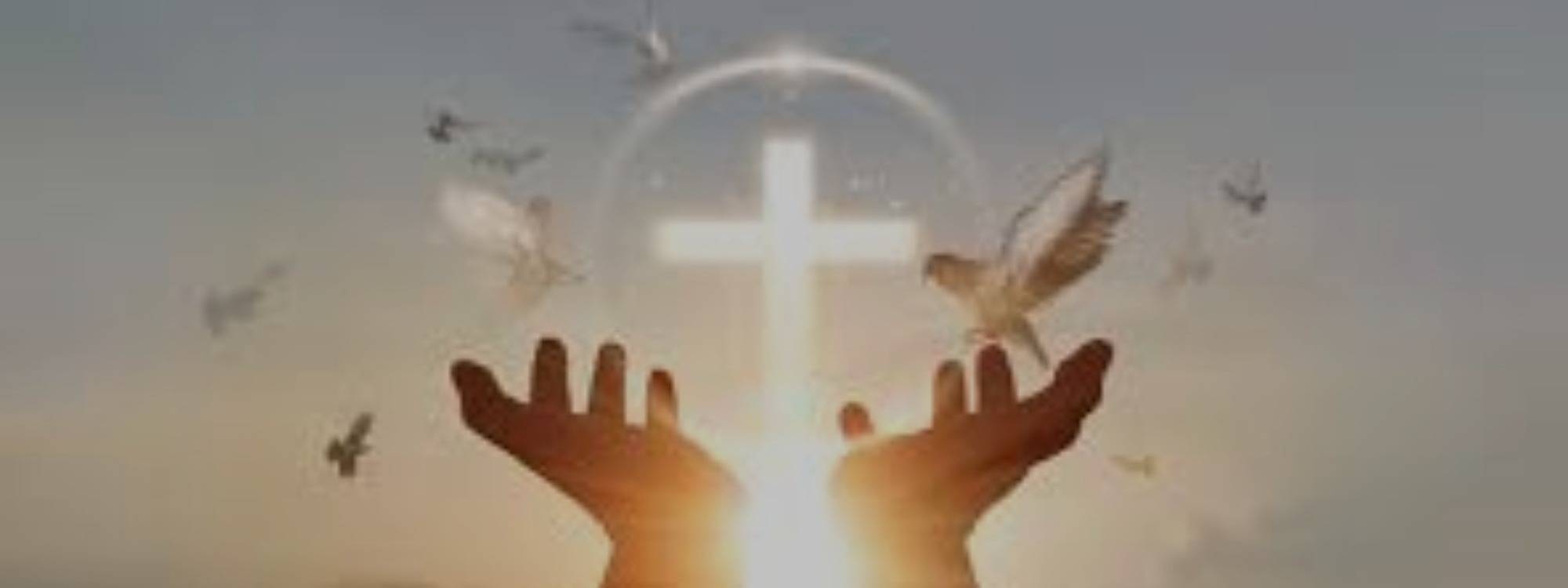 Believer's Baptism* *Join us this Sunday @ 10:30 am - Details here