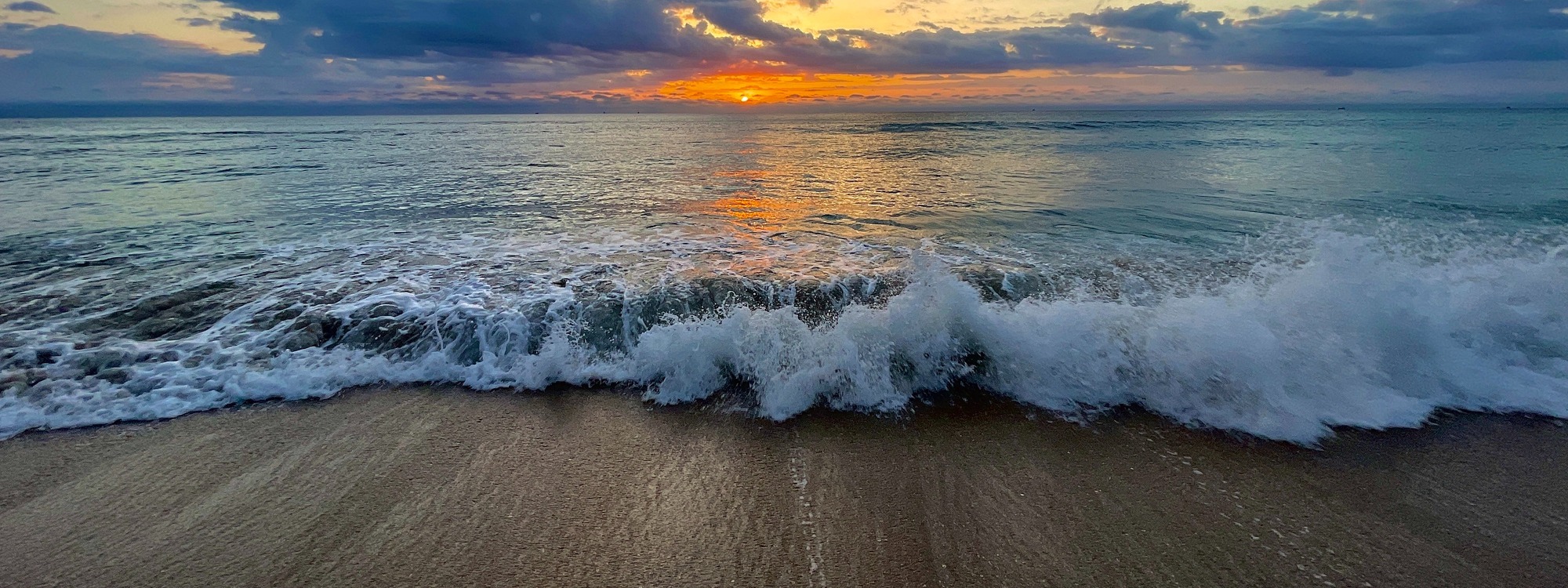 Celebrate the Risen King *Easter Sunday @6:00 am,*Details here